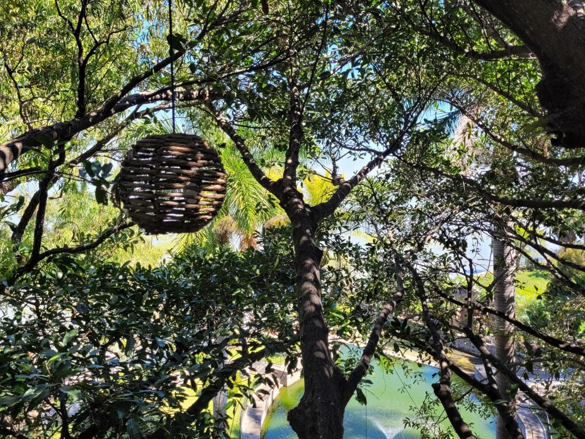 Nido Ecoluxury - Villa San Luis Boutique San Luis Soyatlán Kültér fotó